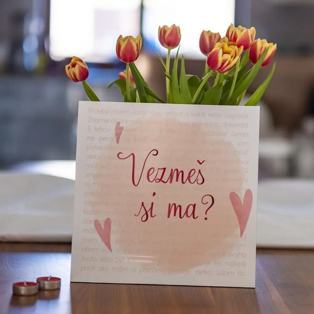 Vezmeš si ma?